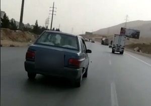 حمل گوساله با پراید!