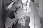 لحظه سرقت شبانه از خانه زن تهرانی در شهرک قصر فیروزه