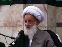 خاطره جالب آیت الله مجتهدی از کودکی خود