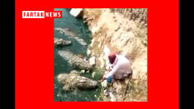 فیلم/ کار خطرناک مرد در غذا دادن به تمساح ها 