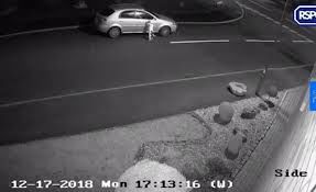 لحظه غم‌انگیز رهاکردن یک سگ توسط صاحبش 