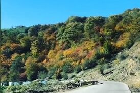 "لاویج"، روستایی زیبا در میان دره‌های جنگلی