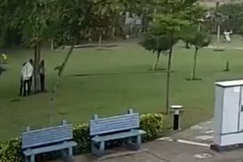 لحظه برخورد مرگبار رعد و برق به چهار باغبان + فیلم 