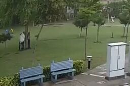 لحظه برخورد مرگبار رعد و برق به چهار باغبان + فیلم 