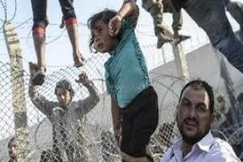 حقایقی تکان دهنده در مورد سرنوشت مهاجرت آمریکا 