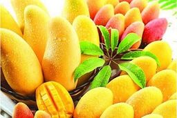 همه چیز درباره پادشاه میوه‌ها!