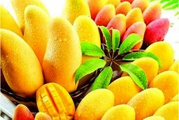 همه چیز درباره پادشاه میوه‌ها!