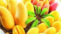 همه چیز درباره پادشاه میوه‌ها!