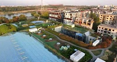 کتابخانه‌ای به وسعت یک هکتار در پشت بام دانشگاه 