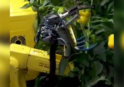 برداشت حرفه‌ای محصولات کشاورزی با رباتی قدرتمند