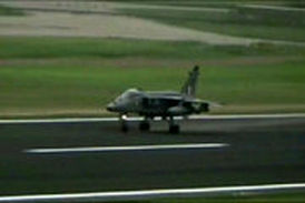 حمله پرندگان به جنگنده هندی