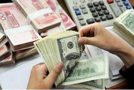  دستگیری ۵۵۵ نفر به علت سوء استفاده از ارز ۴۲۰۰ تومانی
