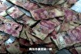 تصمیم اشتباهی که تمام پس انداز مرد چینی را بر باد داد! 