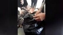 قاچاق مسافری پرنده‌های بینوا در مرز شلمچه