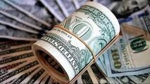 حذف ارز ترجیحی و اما و اگرها در گفت وگو با عضو کمیسیون اقتصادی مجلس شورای اسلامی
