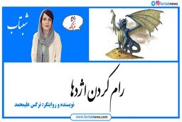 انگیزه های انسان برای موفقیت؛ رام کردن اژدها 
