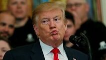 هو شدن ترامپ در مسابقات UFC