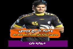اختصاصی/ وحید شیخ ویسی؛ بهترین دروازه بان هفته دهم لیگ یک/فیلم
