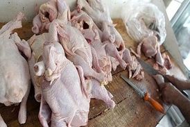 نکاتی ساده اما کاربردی در خرید مرغ/ آیا ارزش غذایی مرغ های درشت بیشتر است؟