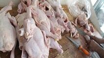 نکاتی ساده اما کاربردی در خرید مرغ/ آیا ارزش غذایی مرغ های درشت بیشتر است؟