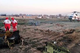 ویدئویی جدید از محل سقوط هواپیما