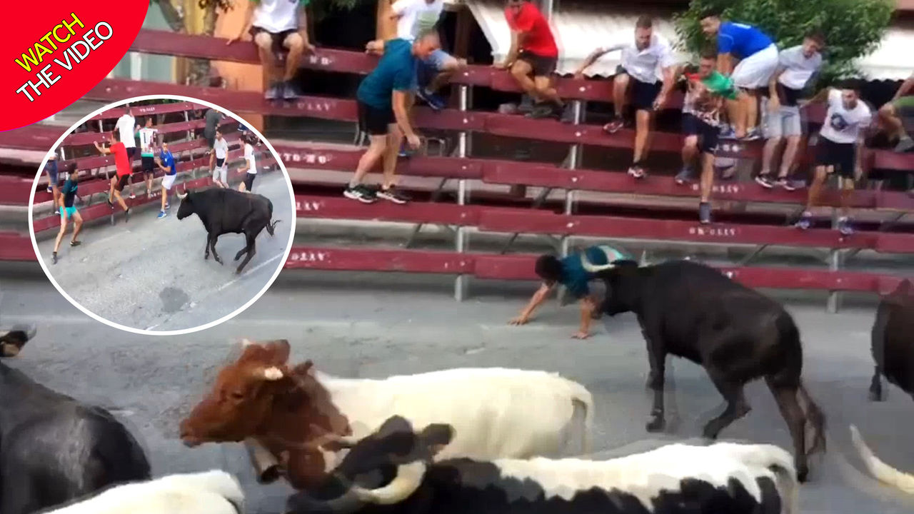 زنده ماندن باورنکردنی پسر جوان پس از حمله گاوها!