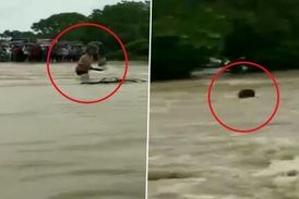 بازی با مرگ مرد میانسال هنگام وقوع سیل!