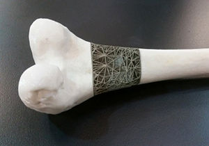 درمان جالب سرطان