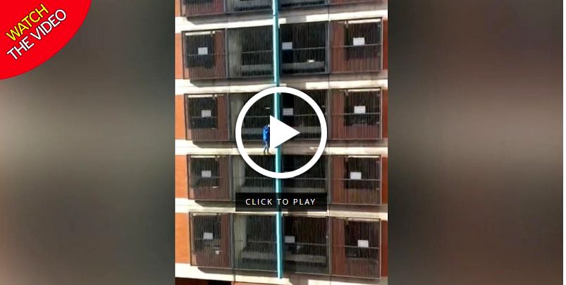 بازی با مرگ دختر جوان در صعود به ساختمان 8 طبقه!