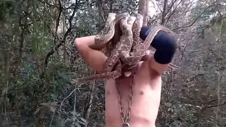 نینجا مار  با شش مار سمی در دهان+ فیلم 