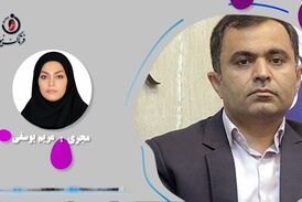 پرونده تحقیق و تفحص ازمنطقه آزاد قشم و اروند در مجلس شورای اسلامی 