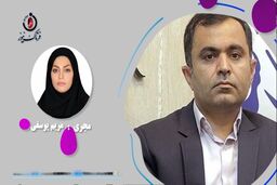 پرونده تحقیق و تفحص ازمنطقه آزاد قشم و اروند در مجلس شورای اسلامی 