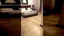 اتفاق عجیبی که گردشگران روسی در هتل با آن مواجه شدند+فیلم