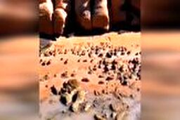 ساحلی بسیار زیبا و دیدنی در بندر لنگه 