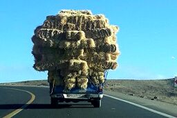 بار کامیون بر روی نیسان!
