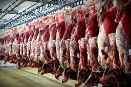 کشف ۱۰۰ تن گوشت تاریخ مصرف گذشته در رباط کریم تهران