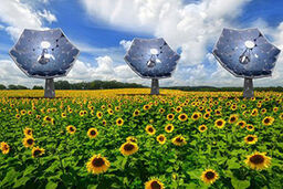 پنل خورشیدی با طرح گل آفتابگردان!