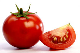 دسته بندی حرفه‌ای گوجه فرنگی‌ها به کمک دستگاهی ساده