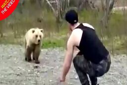 اقدام عجیب یک توریست در محدوده نگهداری خرس‌ها!