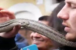 لحظات رعب‌آور فستیوال مار در ایتالیا