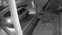 سقوط پراید در حفره بزرگ خیابان ولیعصر 