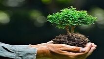 تولید کیسه های دوستدار محیط زیست!