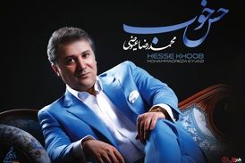 کنسرت های آنلاین باید ادامه پیدا کند/ حمایت نباشد ادامه ممکن نیست 