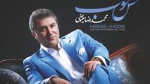 کنسرت های آنلاین باید ادامه پیدا کند/ حمایت نباشد ادامه ممکن نیست 