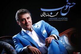 کنسرت های آنلاین باید ادامه پیدا کند/ حمایت نباشد ادامه ممکن نیست 