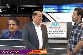  رسانه ها در مناطق آزاد کارکرد خود را از دست داده اند